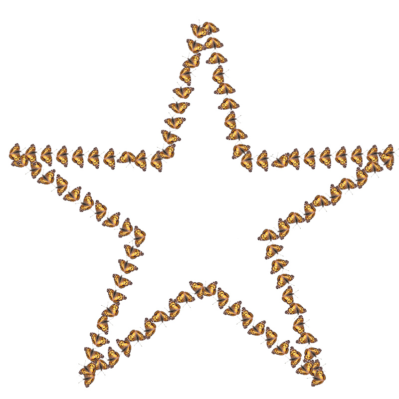bstar.jpg