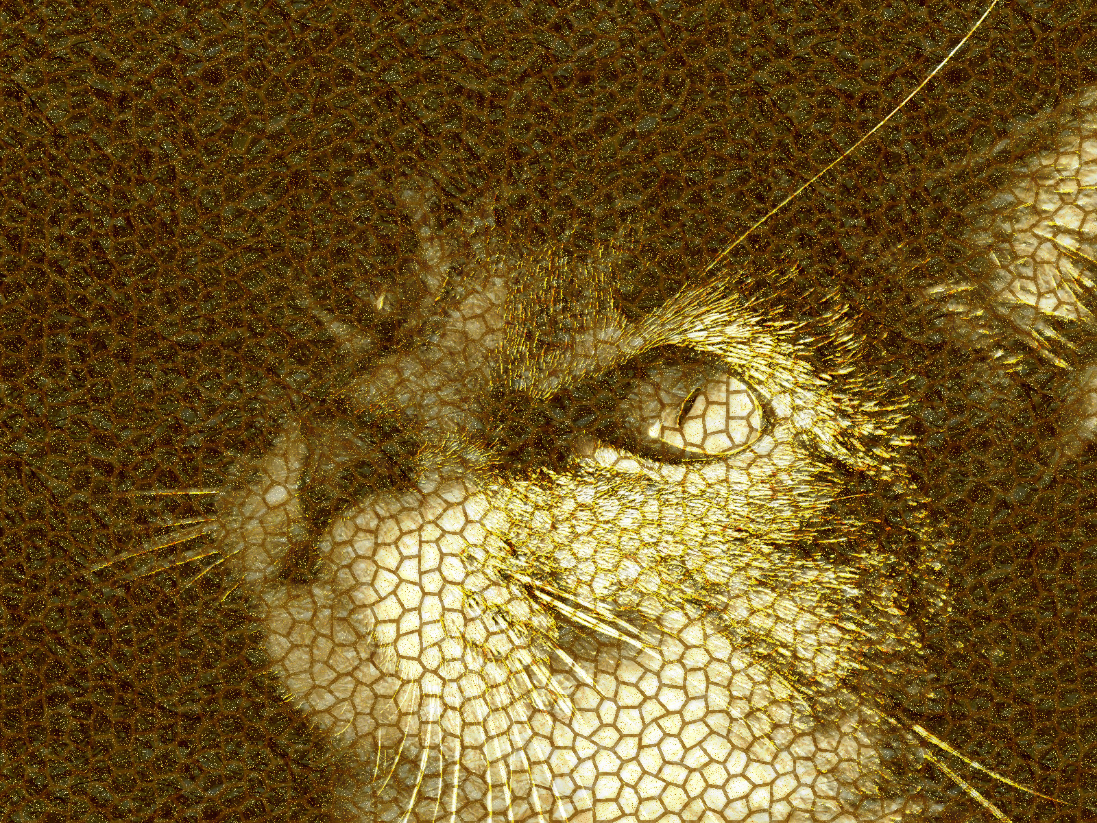 Gatto,-foto-in-bianco-e-nero-468164_as-a-golden-mosaic.jpg