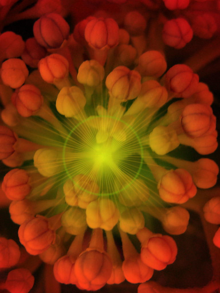 fp121006-11_GRADIENTFLARE+GRADIENT.jpg