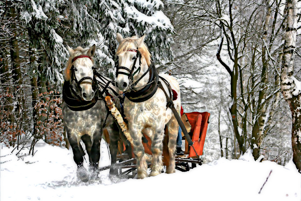 Emboss on sleigh-ride-549727_960_720.jpg