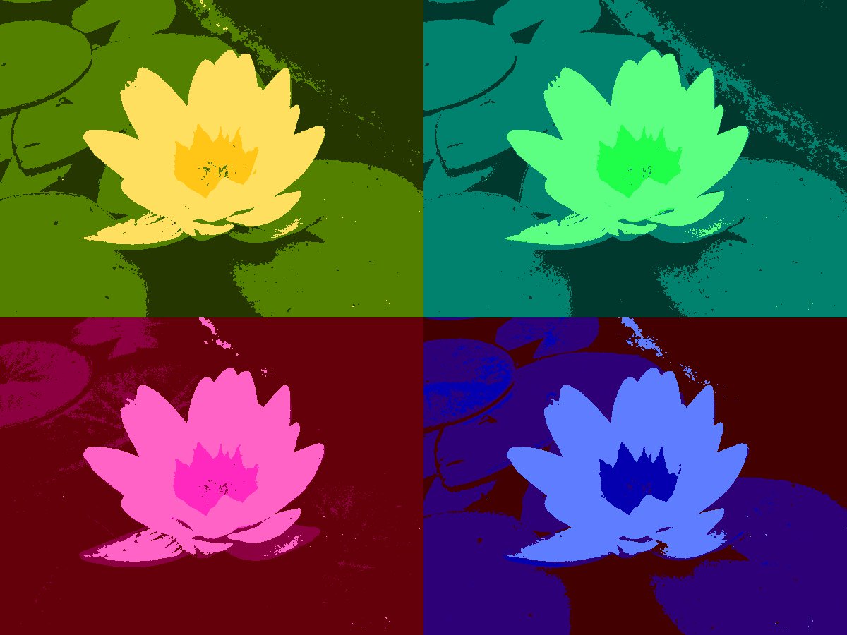 warhol.jpg