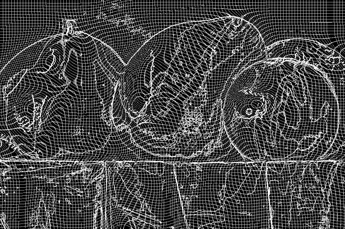 Bodegón-WireFrameMap-SE-DN-BlackBG.JPG