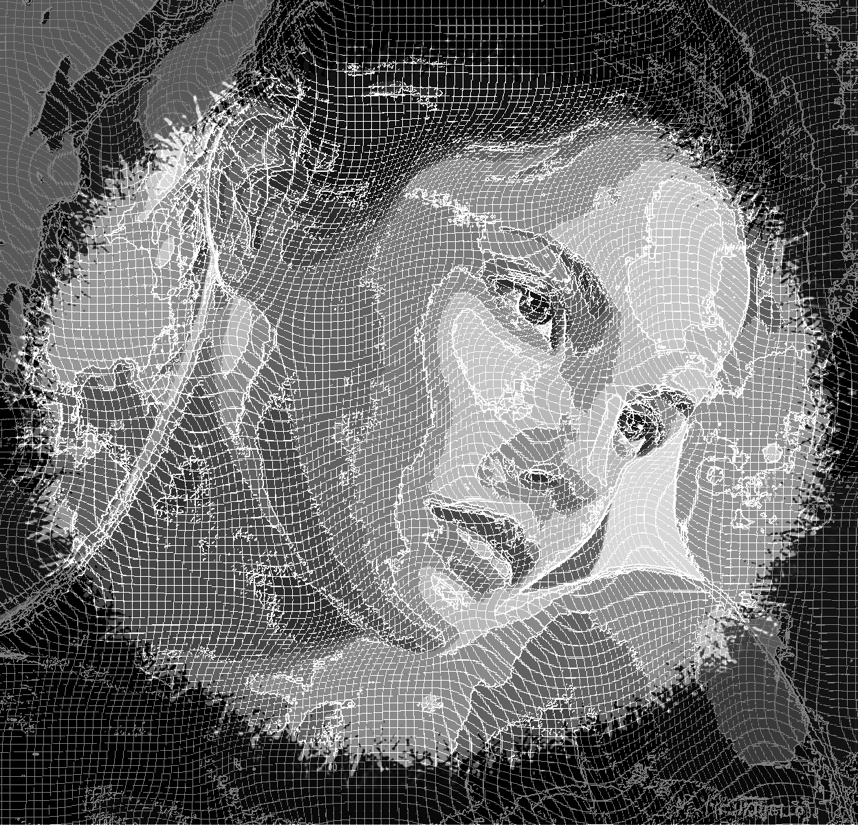 mujeres-rostros-WireFrameMap-SE-B&W-DN.jpg