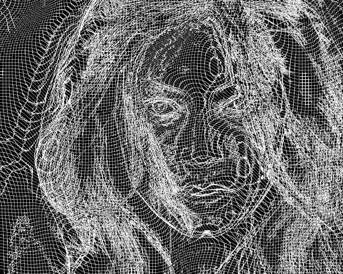 5624-close-up-portrait-of-a-beautiful-brunette-pv wiremapped, on black BG.jpg