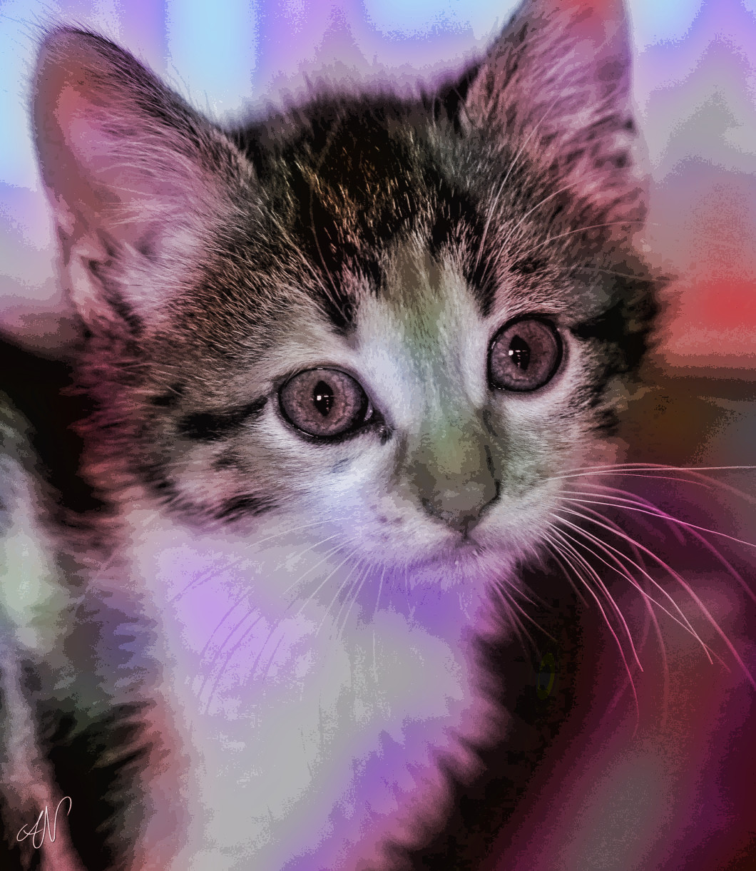 24556811814_4705c64cbd_o_d-DN-ColourWorld-40.jpg