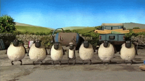 ovejas bailan.gif