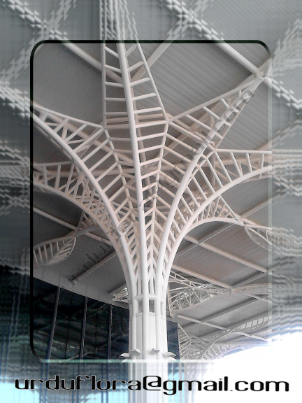 Madina Intl_ Apt_GlassTilesBlurEffect_GIMPCHAT.png