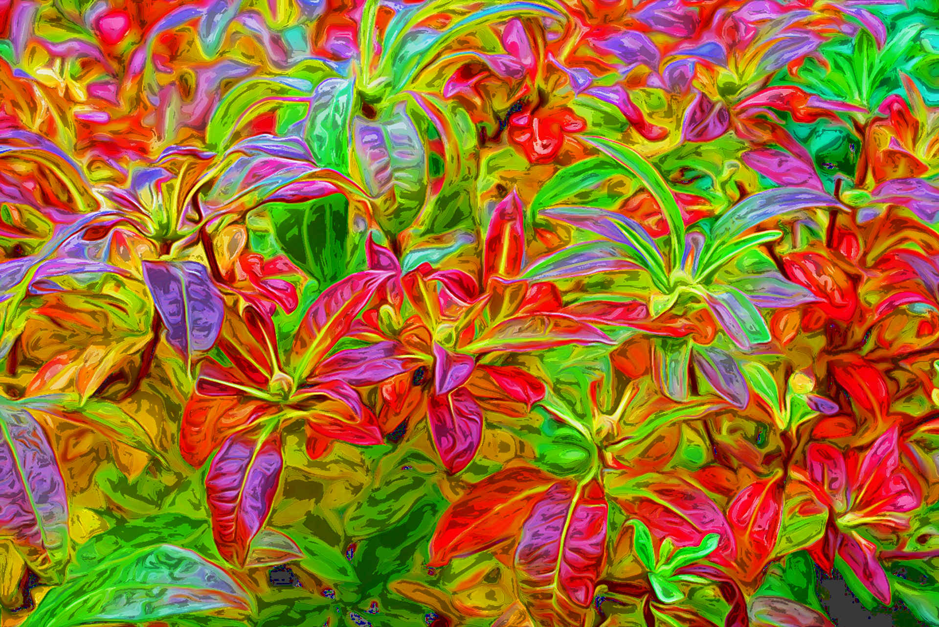 autumn-1816994_1920Flamboyance4_mode1.jpg