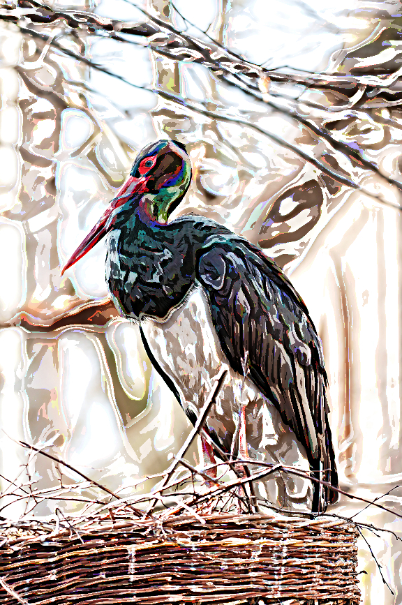 Bird Flamboyance Ver.3.jpg
