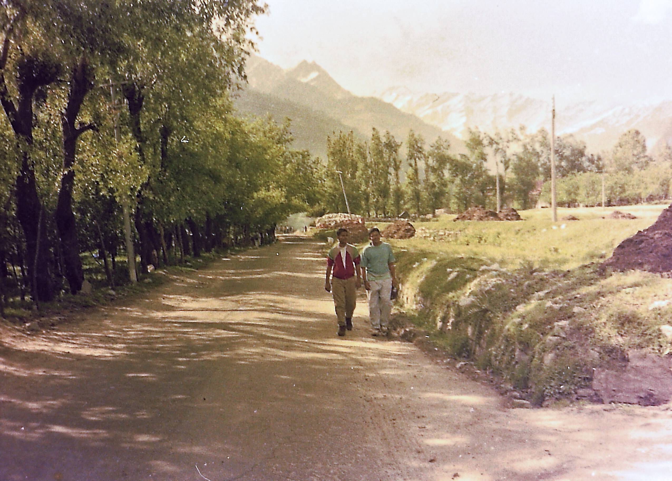 walking2.jpg