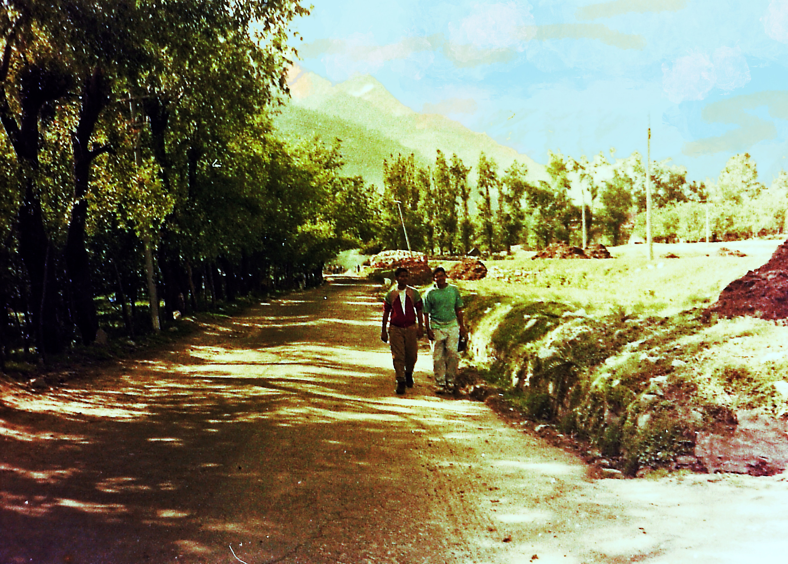 walking-dn1.jpg
