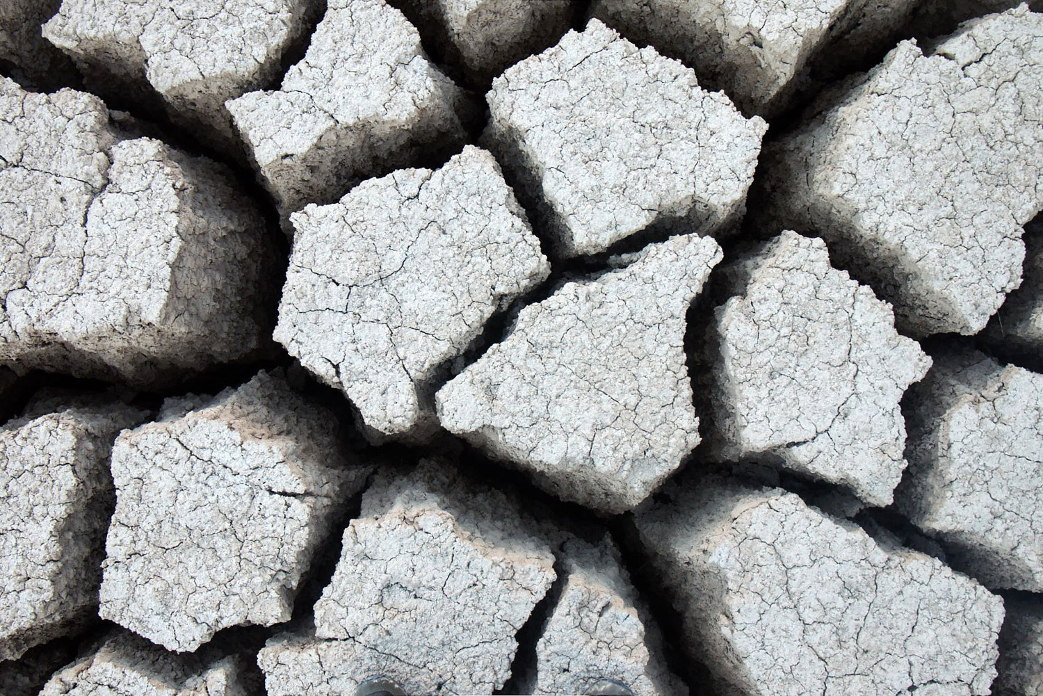 cracked mud.jpg