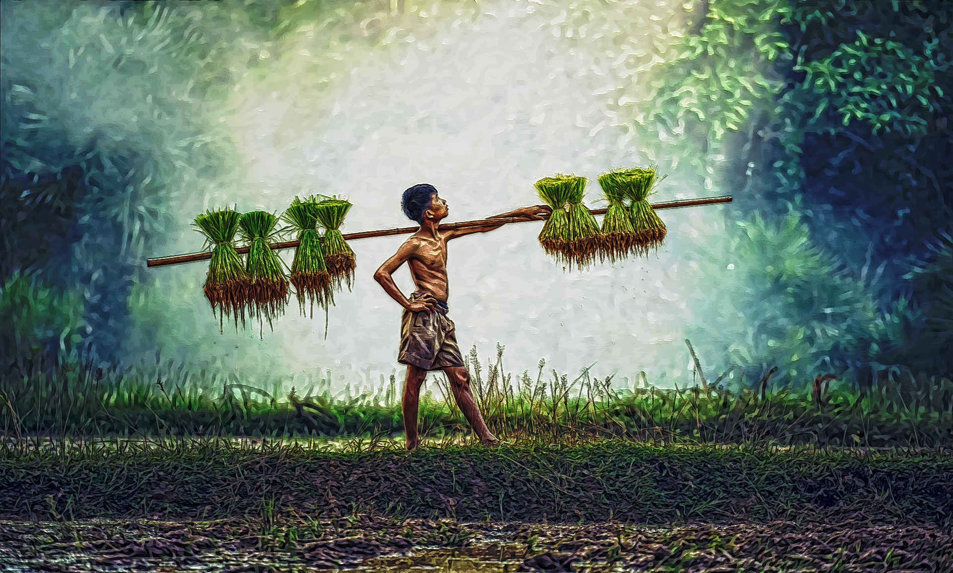 agriculture-1807497_1920.jpg