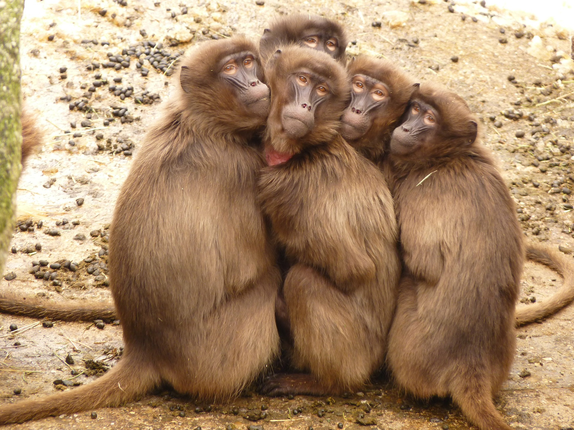 GroupHug Original.jpg