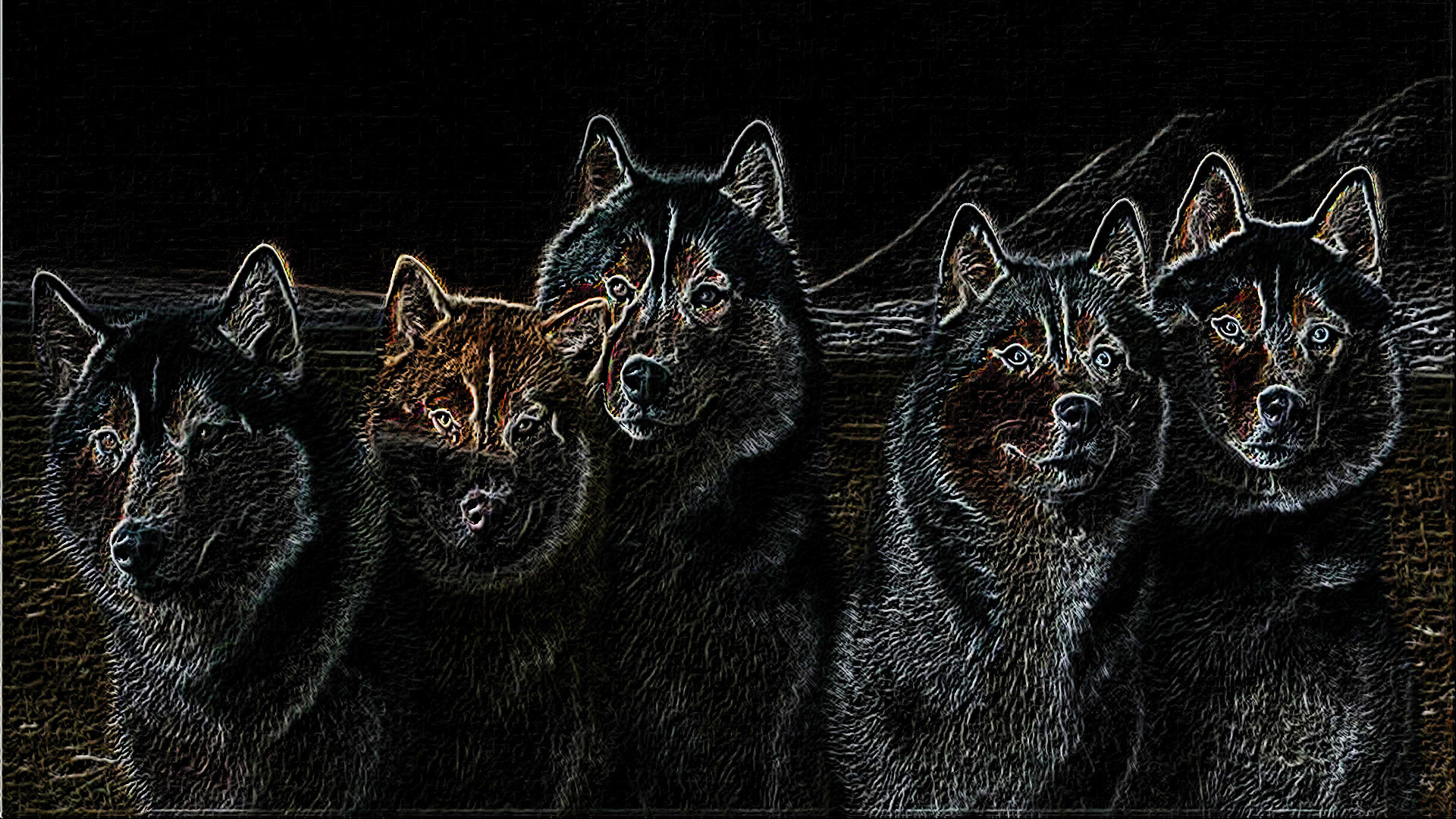 Husky Dogs_Drawing Fantasy.jpg