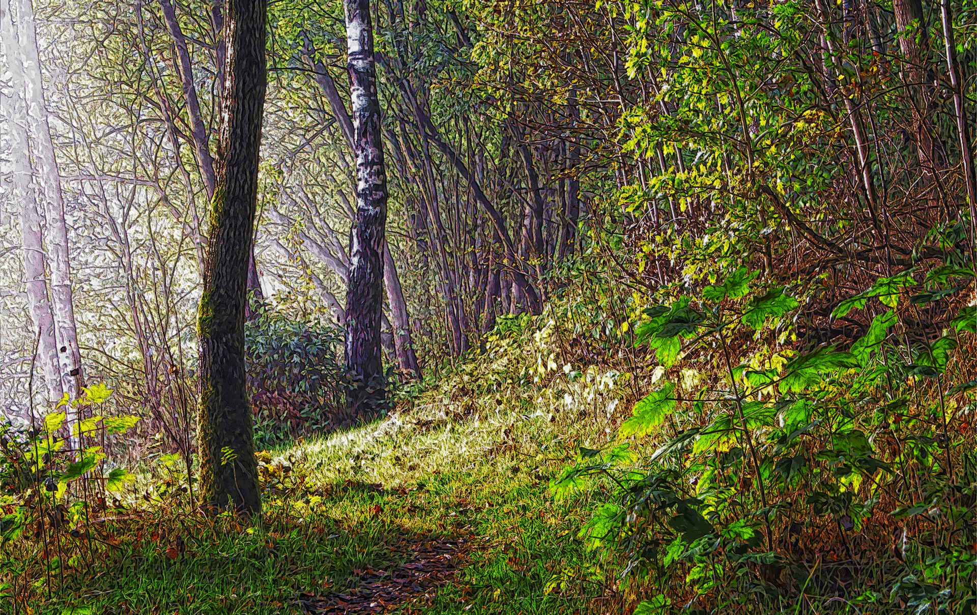 fog-1504977_1920_Flamboyance2.jpg