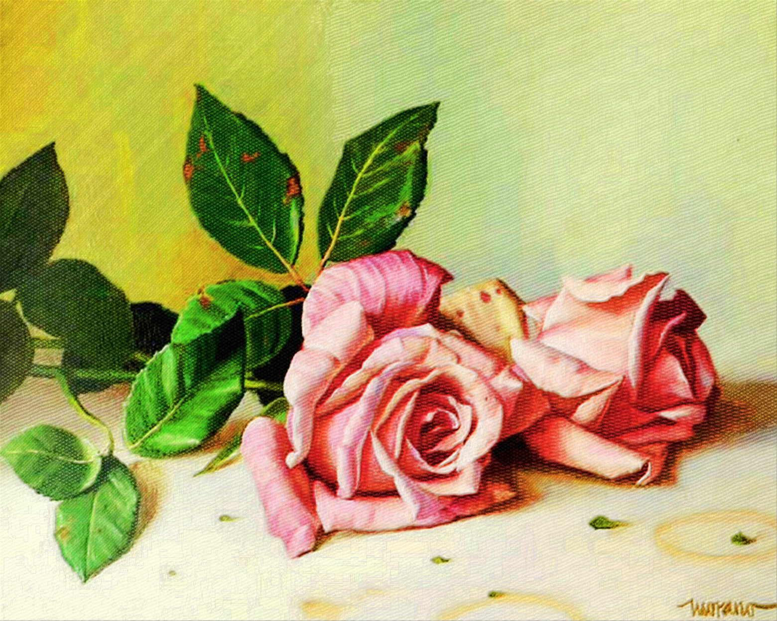 rosas_Mixed.jpg
