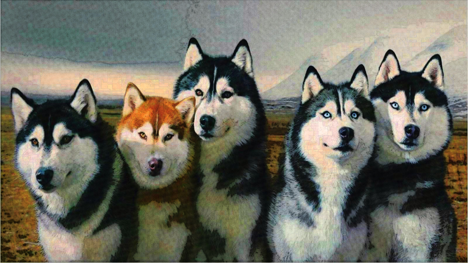 Husky Dogs_Double_combined.jpg