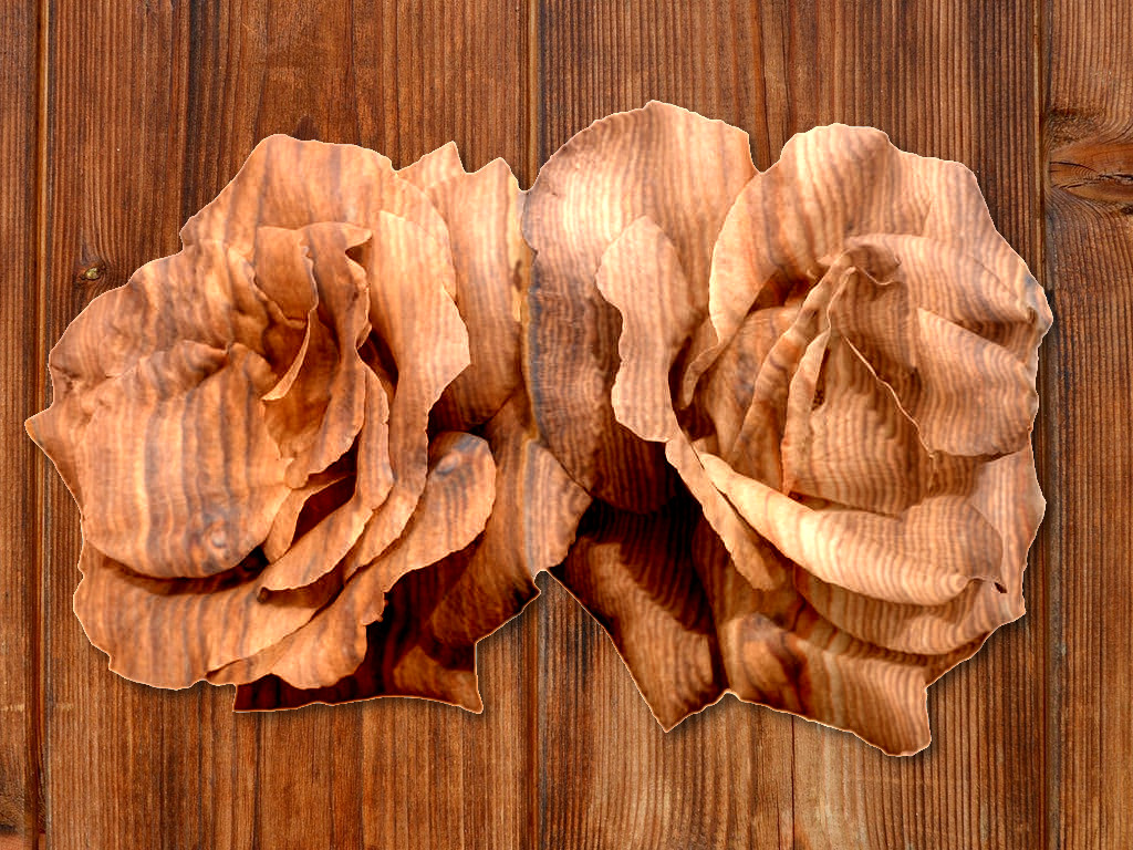 rosa_Meizeli_in wood.jpg