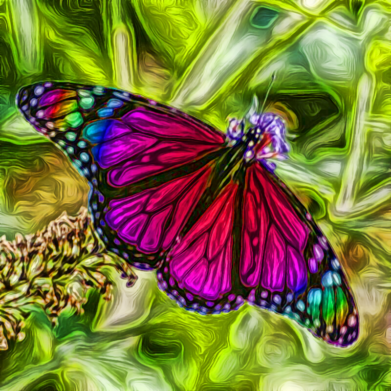 Novella_Butterfly.png