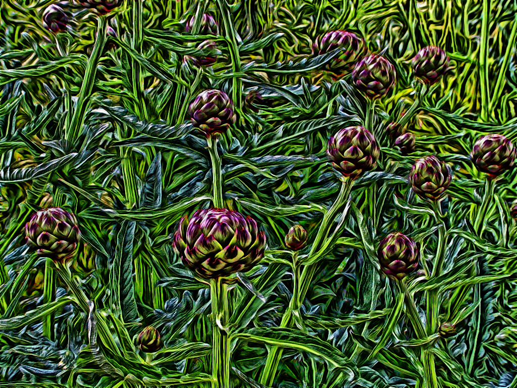 fpfreefoto-633.jpg