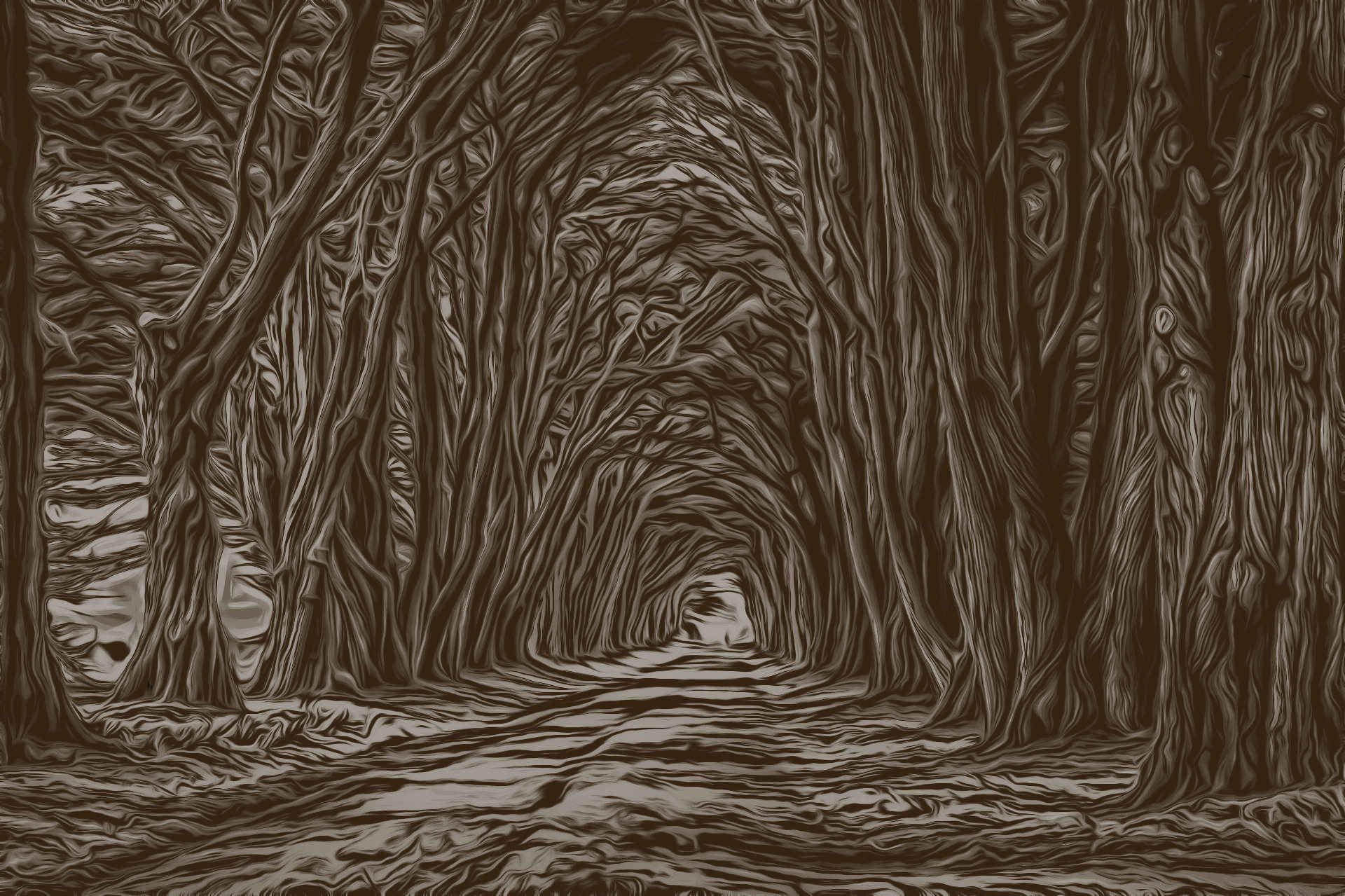 forest path.jpg