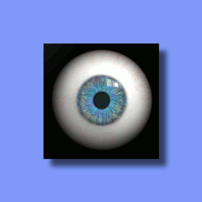 EyeSpinner.gif