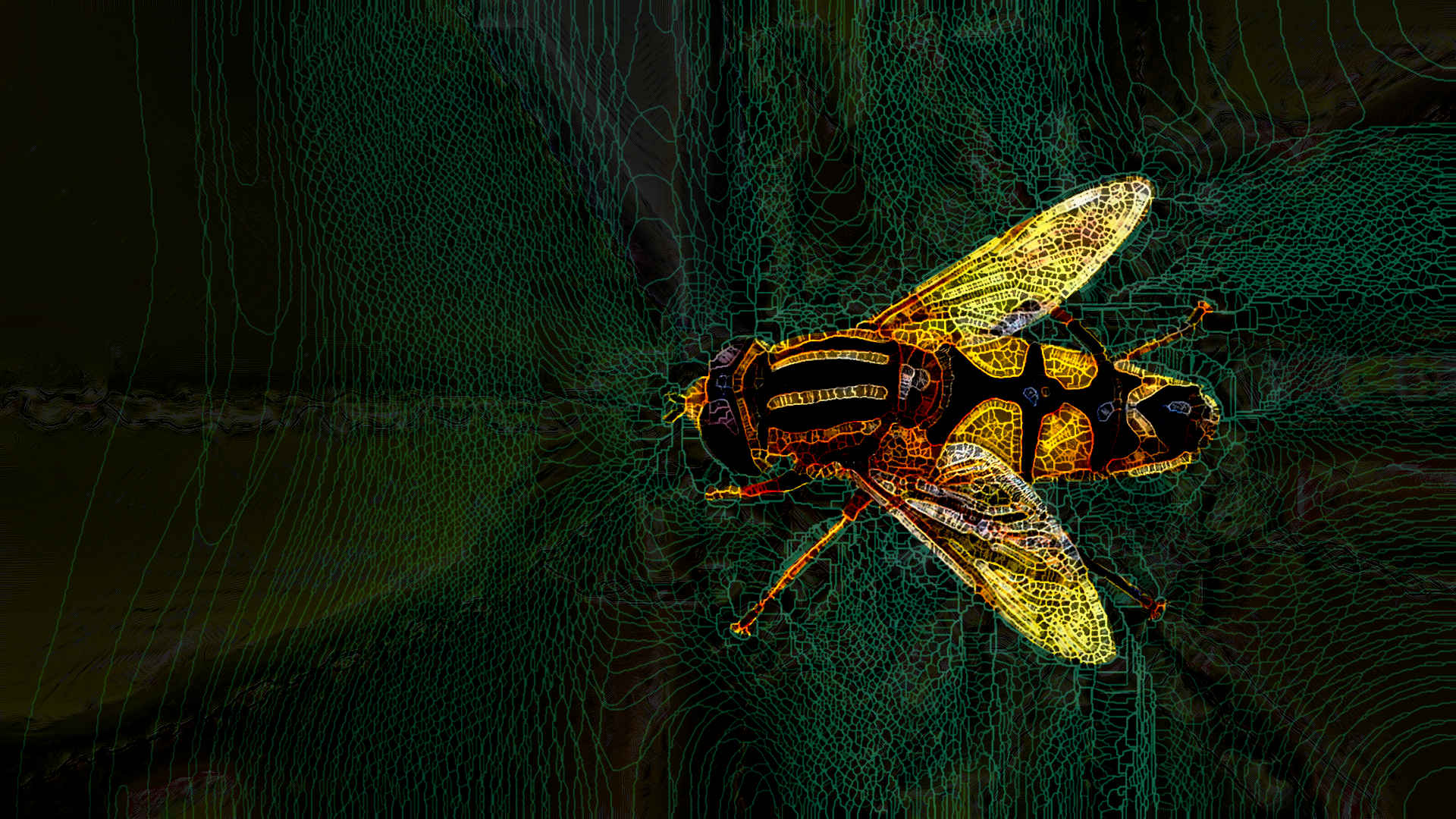 Lunch_SpiderPaint_v3bqt.jpg