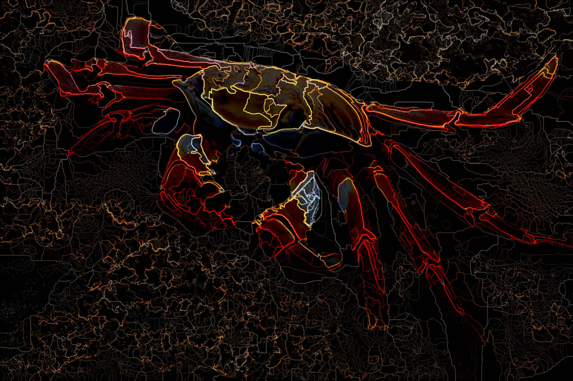 crab_6b.jpg