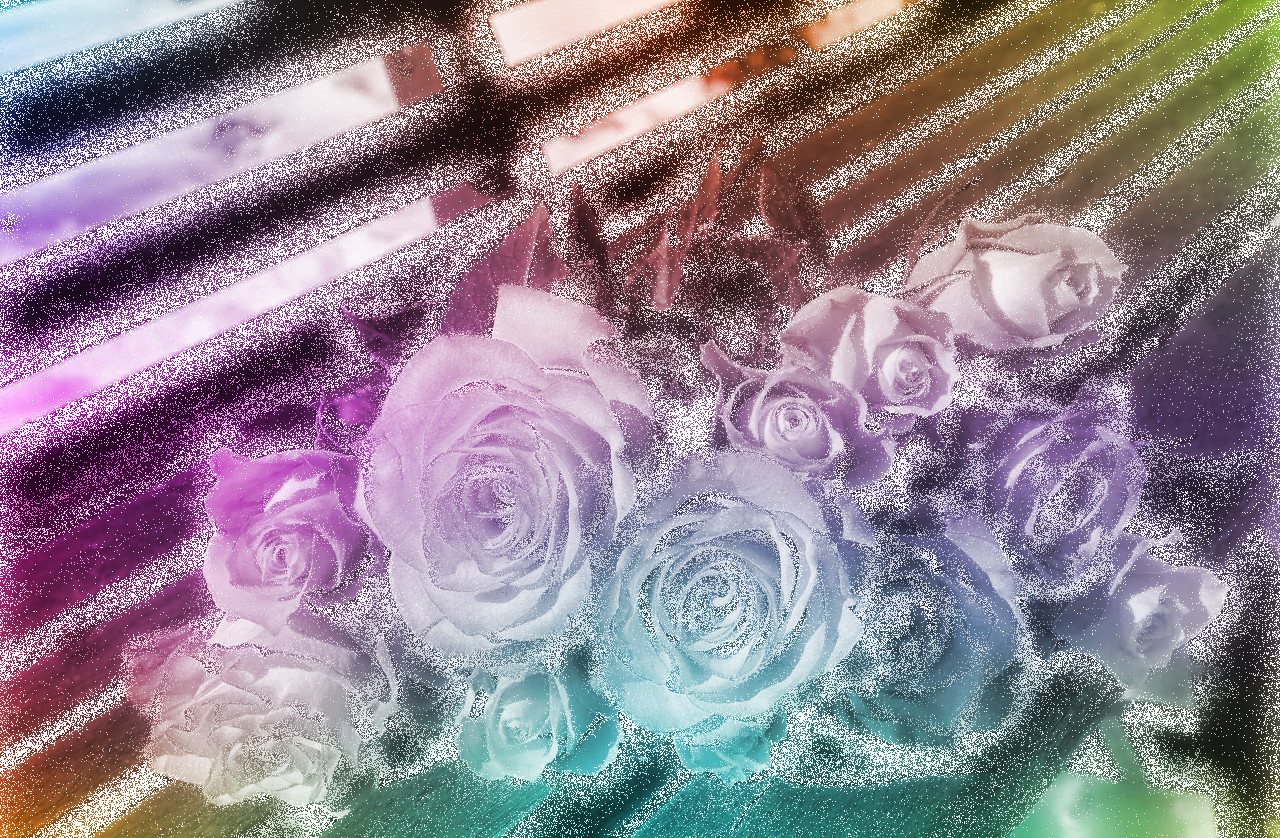 bouquet-of-roses-1246490_DN_Shining_Effect_Outcome3.jpg