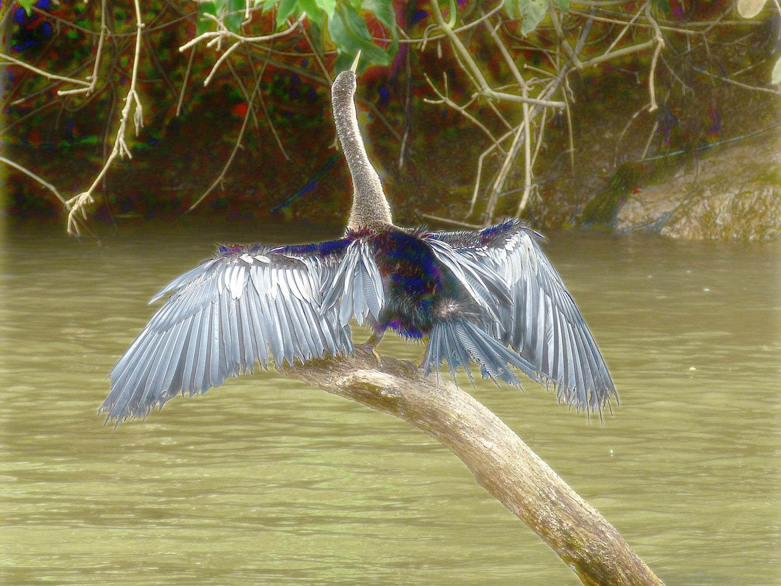 costa-rica-717808_DN_Shining_Effect_Outcome dodge.jpg