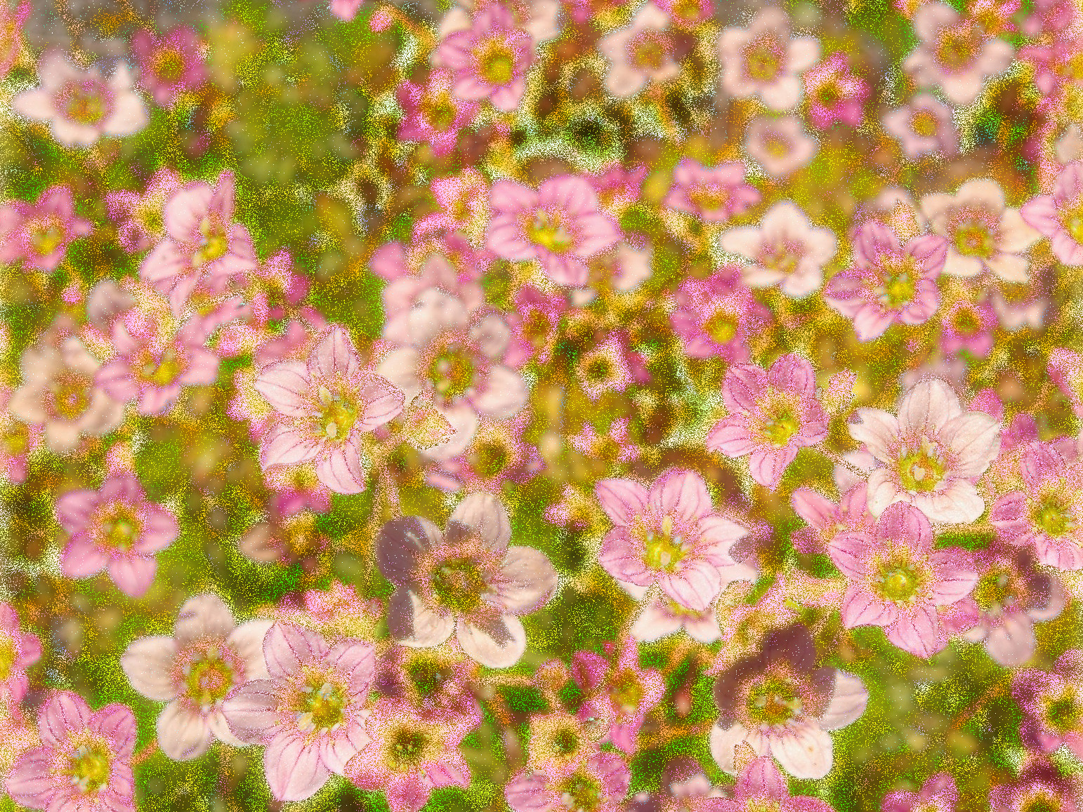 stone-bed-1402317_DN_Shining_Effect_Outcome2.jpg