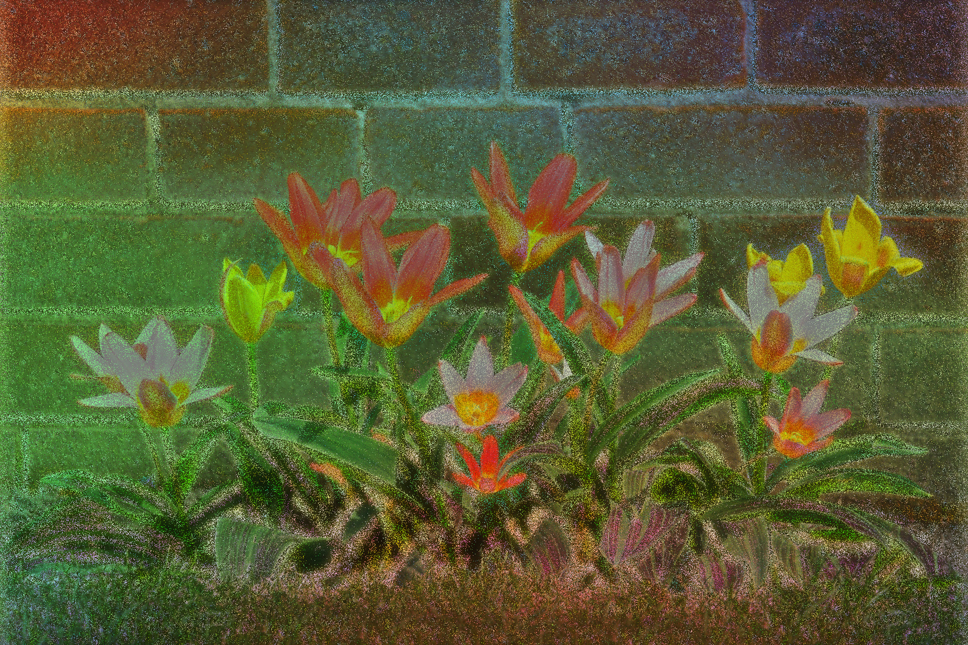 bloom-2518_1920_Subtract_Spread.jpg