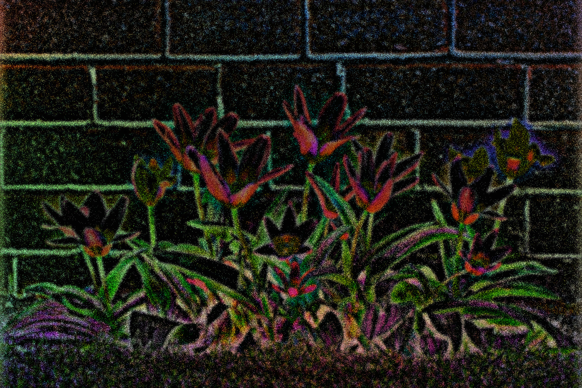 bloom-2518_1920_Subtract_Spread_HL&Dissolve_BL.jpg