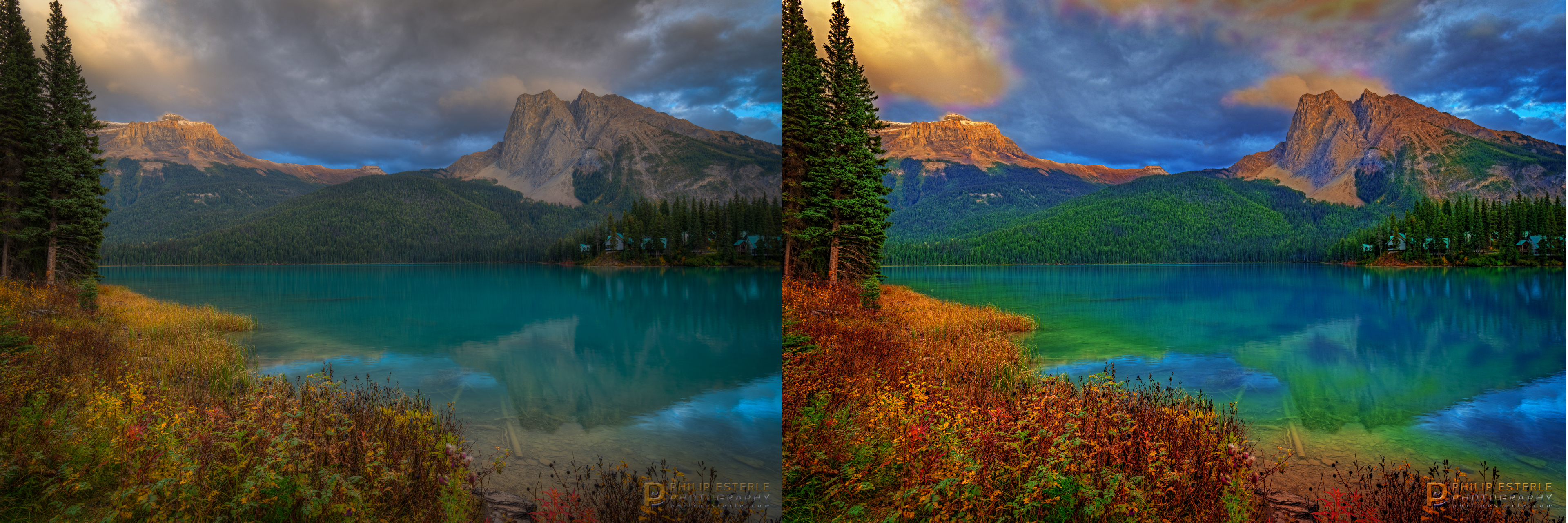 62e32d1d676f02da78cbc79d4f9aa84f-daombps_BEFORE-AFTER.jpg