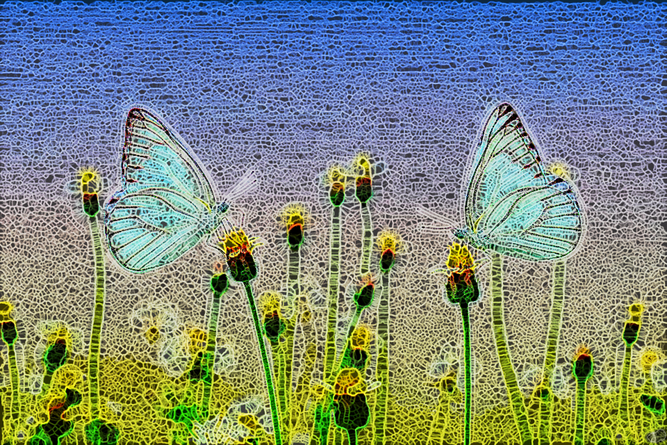 BA.SpiderPaint.Butterflies.jpg
