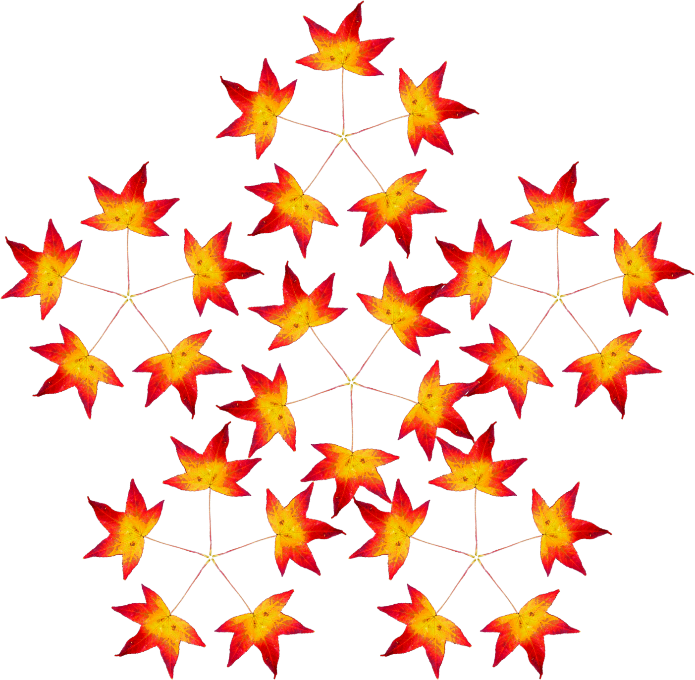 leaf-pentaflake.png