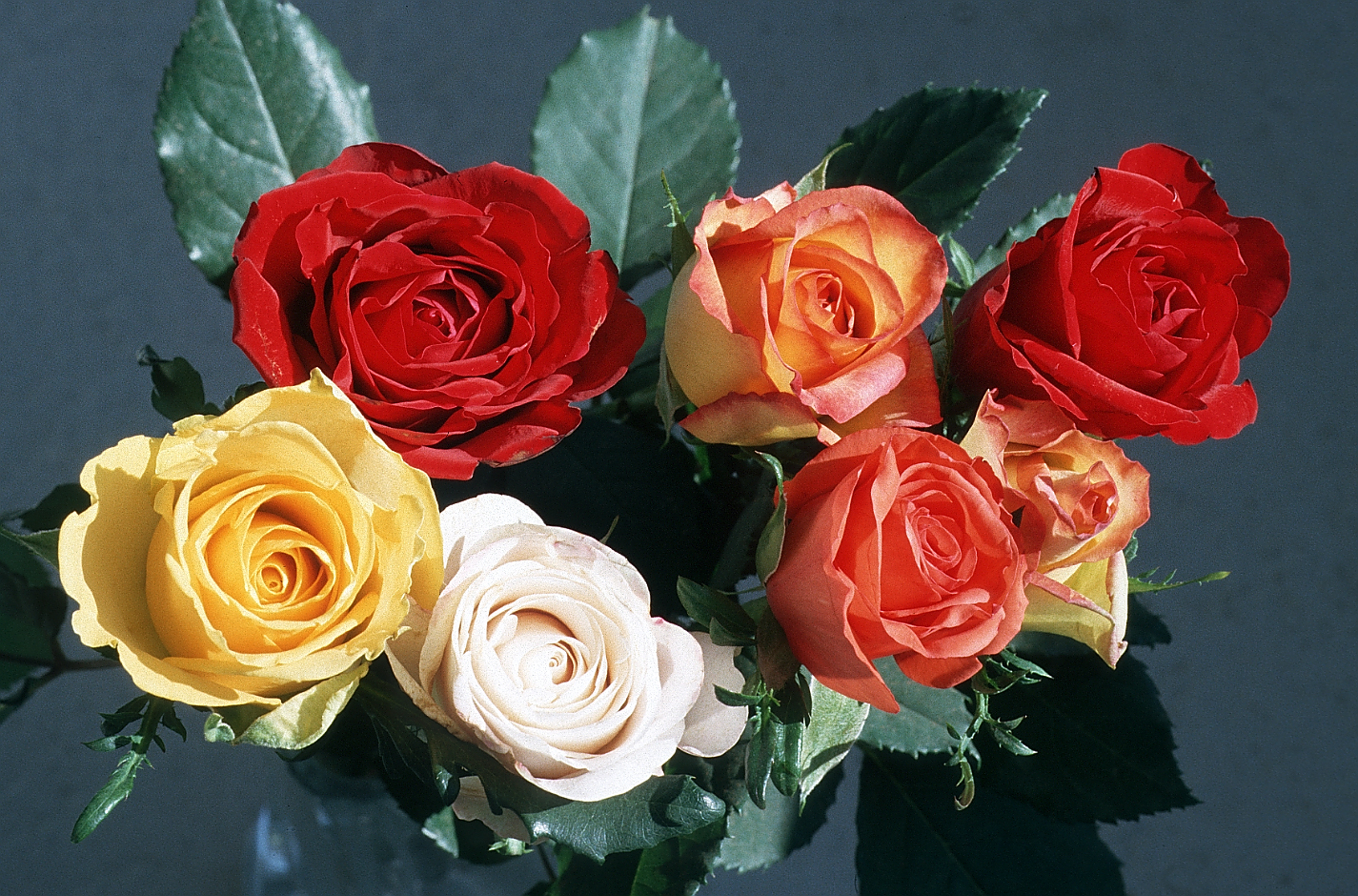 flowers-02.jpg