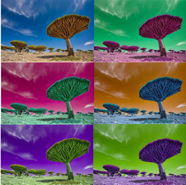 's blood tree_ RotatingRGBColour.jpg