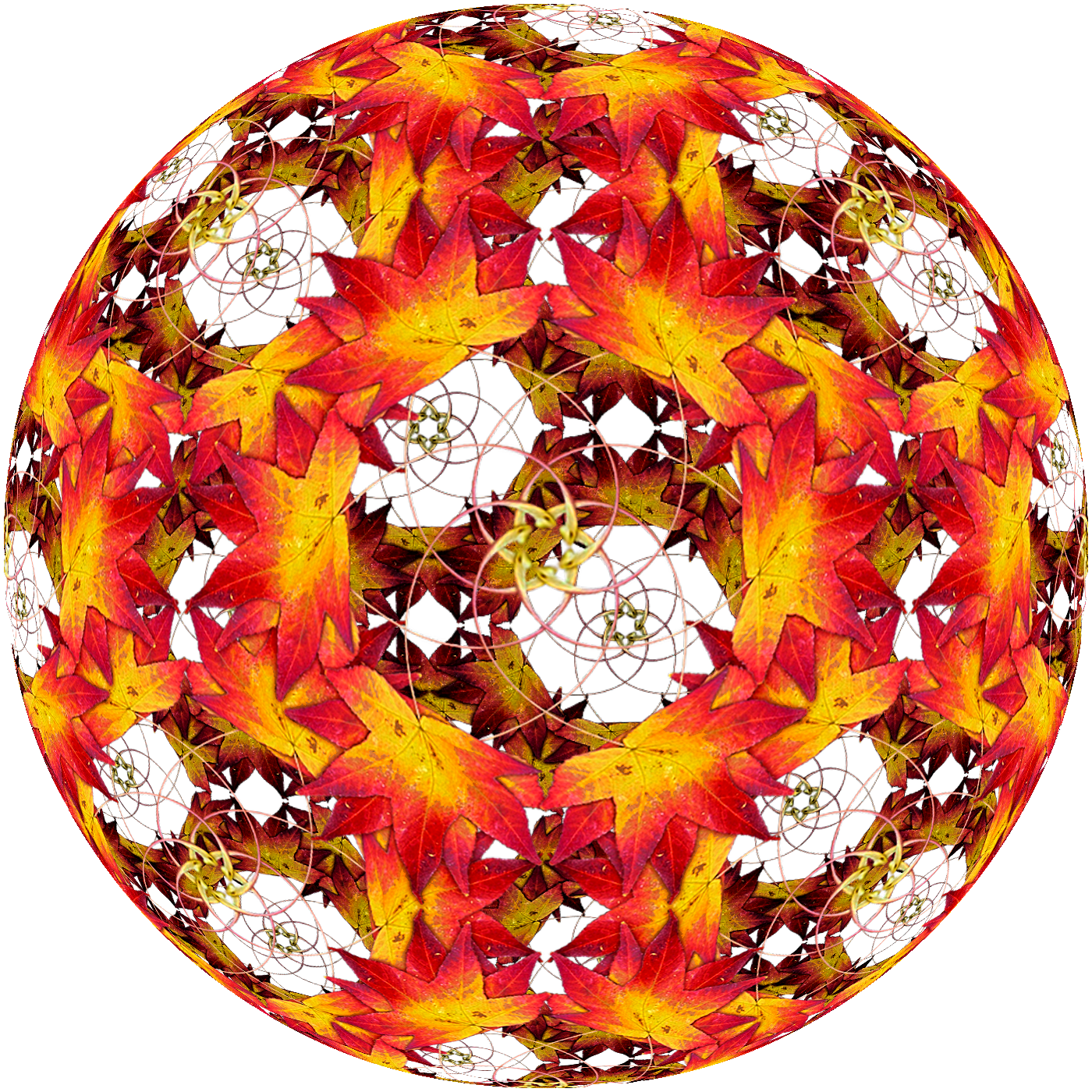 leaf2_sphere.png