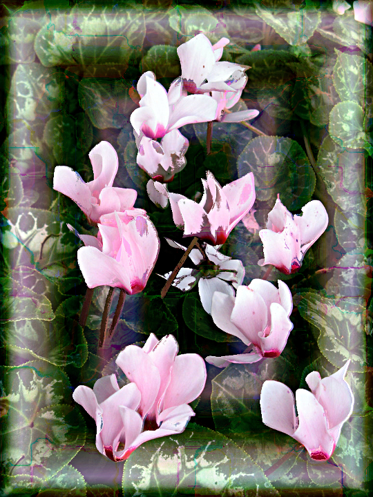OMG Fractal 2 Tut.Flowers.jpg