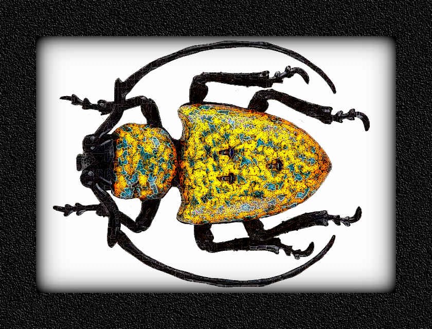 abeetle_colorful~1,BA_SpiderPaint.jpg