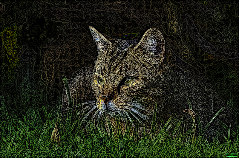 BA.SpiderPaintQT.Cat.jpg