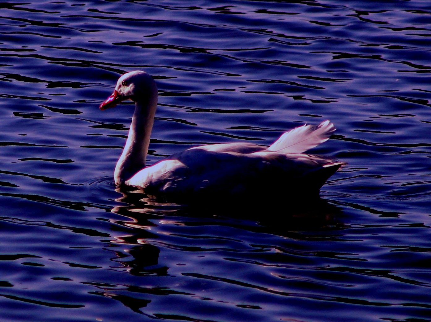 file0001036929748_DN_Atmosphere_late evening.jpg