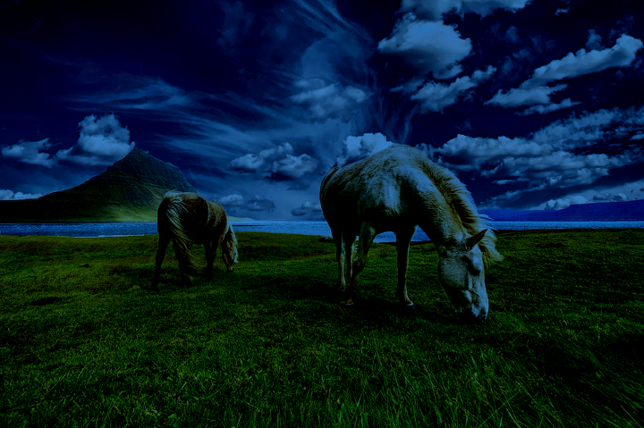 Dinasset.PlayAtmosphere 2.Horses.Evening.jpg