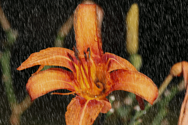 rain2.gif