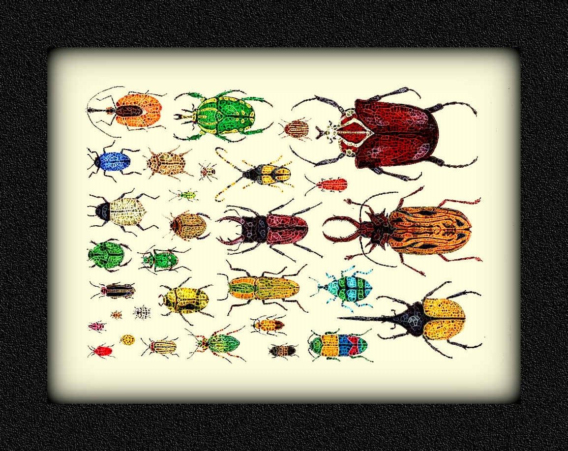 abugcollection2~2,BA_SpiderPaint.jpg