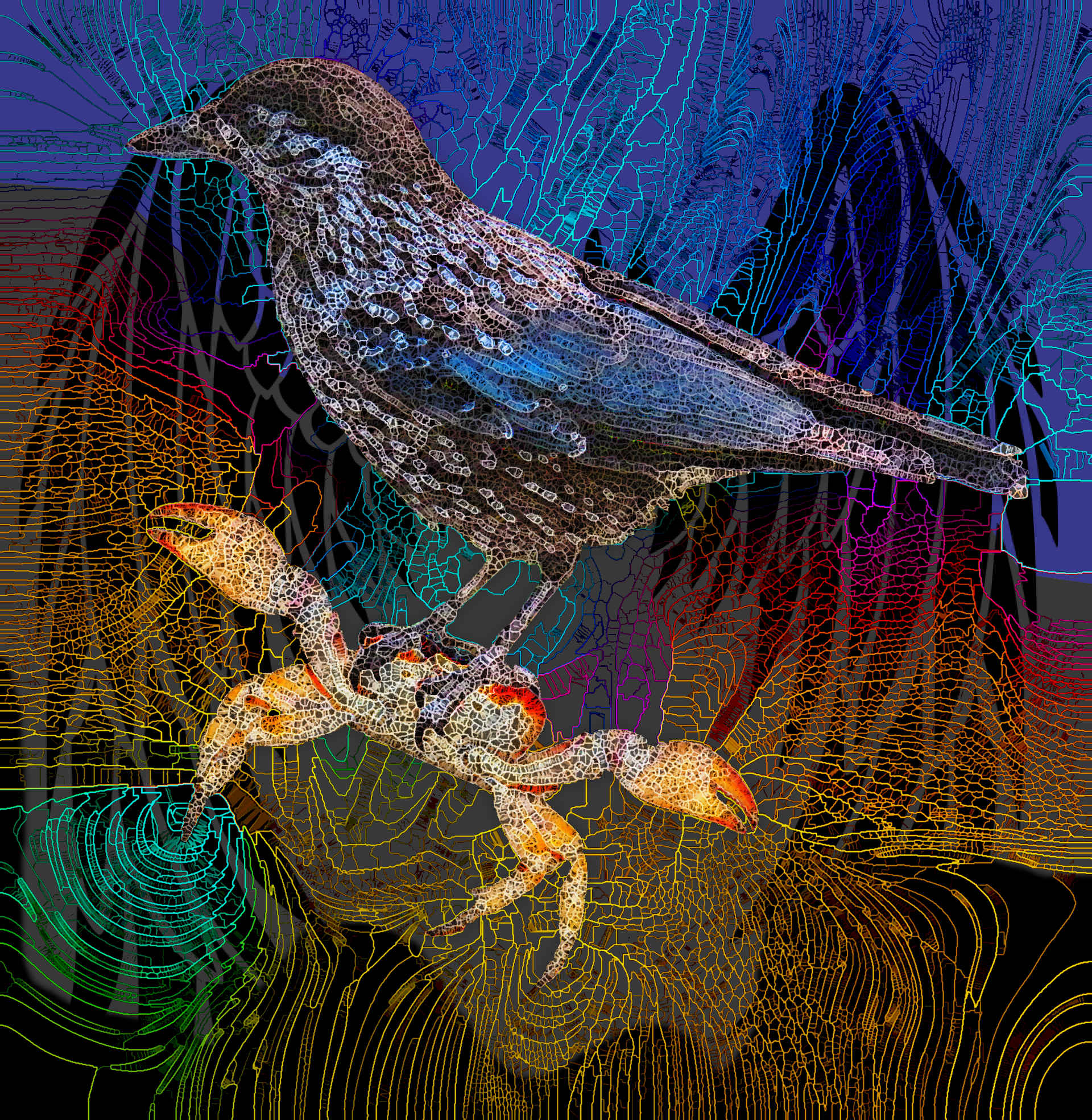 playing with padlayers.jpg