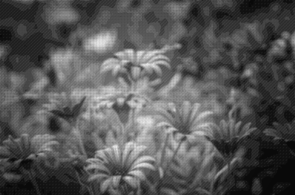 TinTran.GrayPattern6.Standard.flowers.light effect.jpg