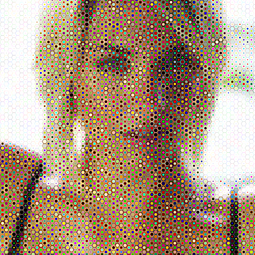 Beautiful Lady Hexagon 10  Image.png